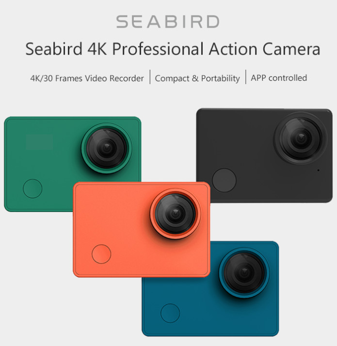 Seabird action camera feature