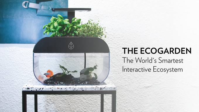 EcoGarden: The World’s Smartest Interactive Ecosystem