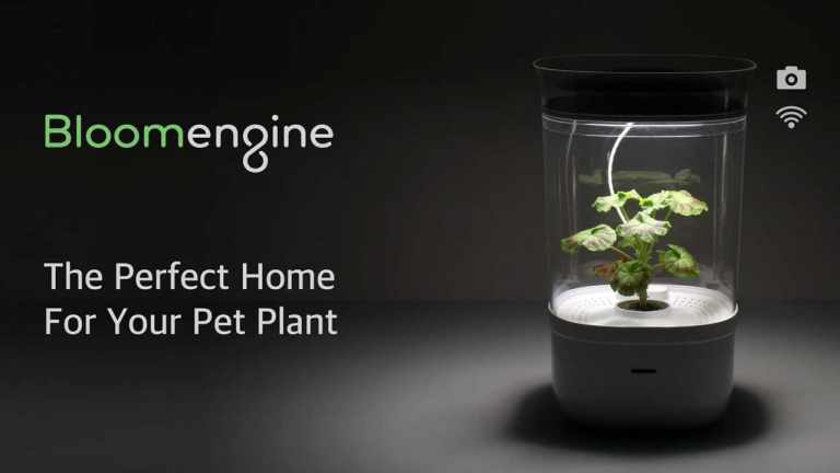 Bloomengine: The Perfect Home For Your Pet Plant