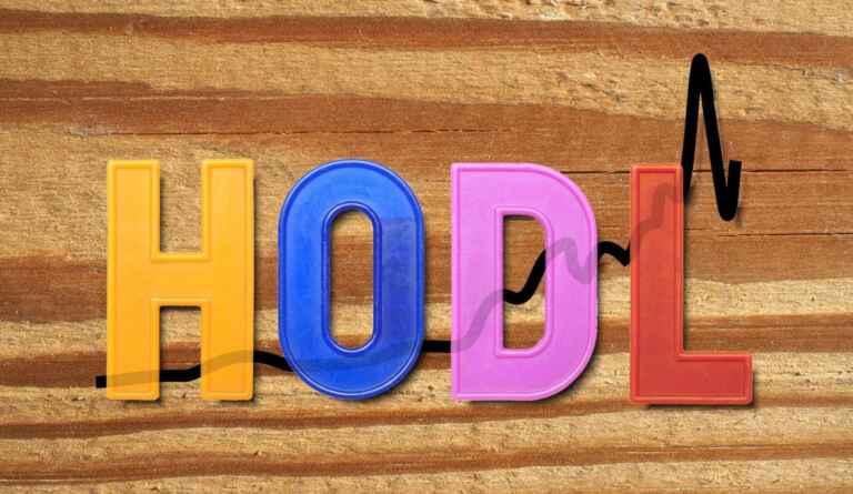 What is the HODL Strategy? A Beginner’s Guide