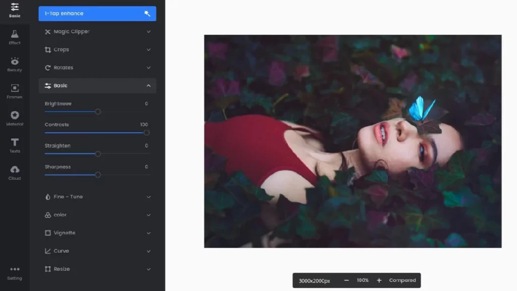 Best AI Art Generator
